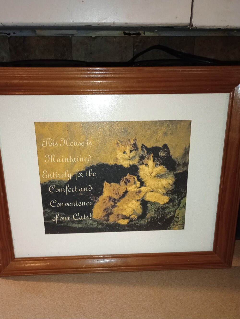 Wood Framed Cat Print Wall Art - Yellow & Black Cat Illustration (14 X 17)
